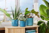 The Ocean Collection Round 18cm Atlantic Blue