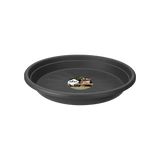 Fat Runt Dia 31 cm Anthracite