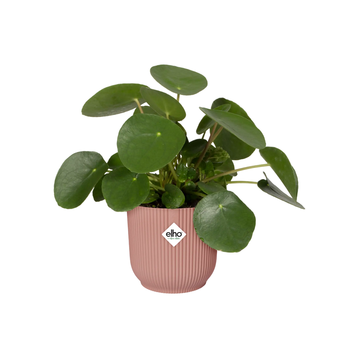 Vibes 'Fold Round' Ytterkruka 30cm - Delicate Pink