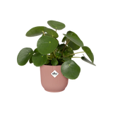 Vibes 'Fold Round' Ytterkruka 14cm - Delicate Pink