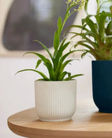 Vibes 'Fold Round' 14cm - Silky White