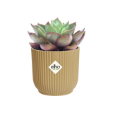 Vibes 'Fold Round Mini' Ytterkruka 11cm - Butter Yellow