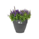 Vibia Campana Round Utekruka 40cm - Anthracite